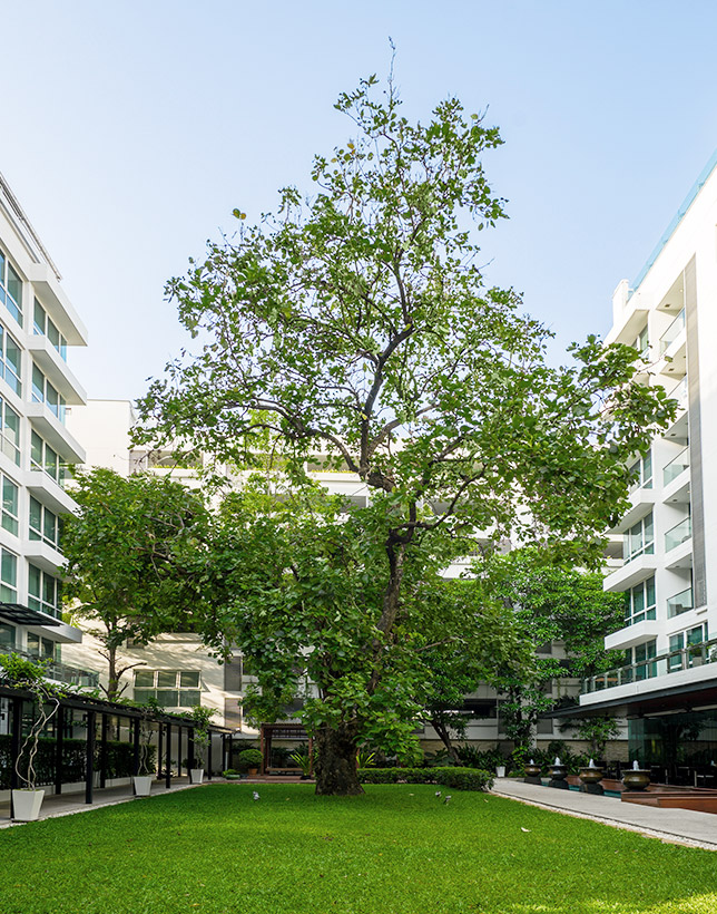 Dynamic City Life  - ชามา เพชรบุรี 47 กรุงเทพฯ